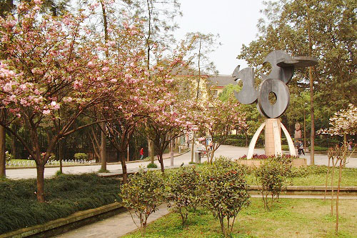 生机盎然的校园 生机盎然的校园