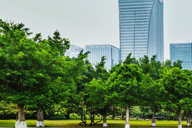 深圳大学英澳出国留学项目